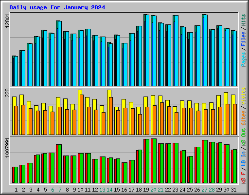 Daily usage for January 2024