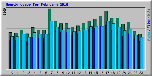 Hourly usage for February 2016