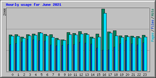 Hourly usage for June 2021
