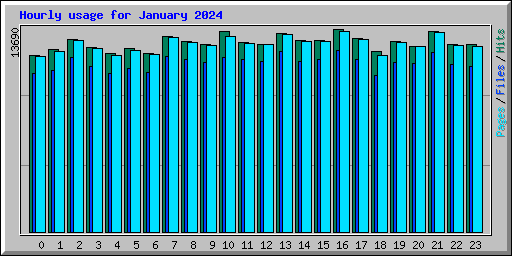 Hourly usage for January 2024