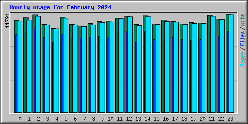 Hourly usage for February 2024