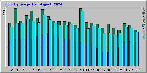 Hourly usage for August 2024