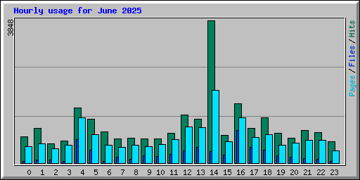 Hourly usage for June 2025