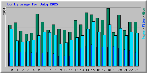 Hourly usage for July 2025
