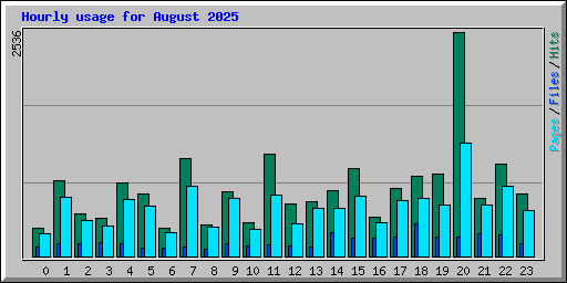 Hourly usage for August 2025